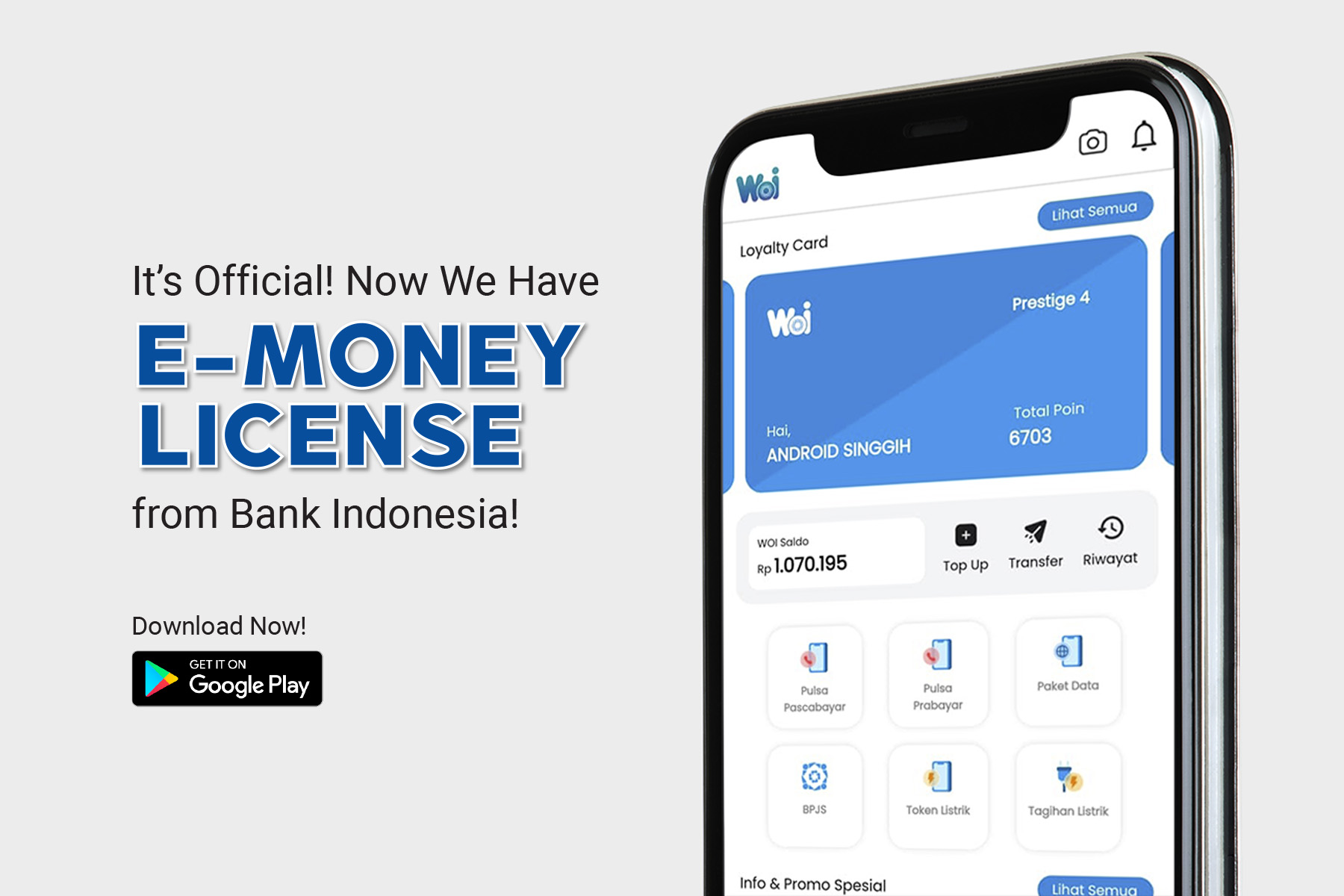 e-money license